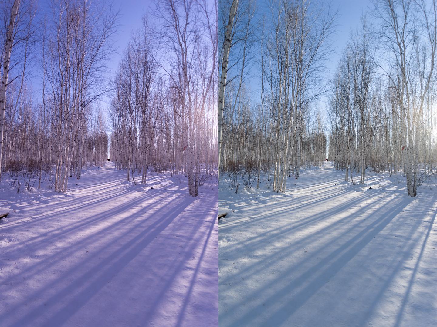 white-balance.jpg